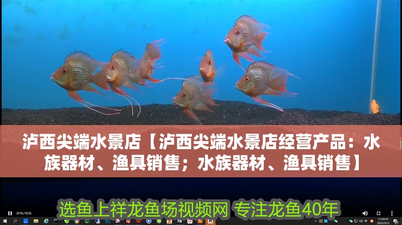 瀘西尖端水景店【瀘西尖端水景店經(jīng)營(yíng)產(chǎn)品：水族器材、漁具銷售；水族器材、漁具銷售】