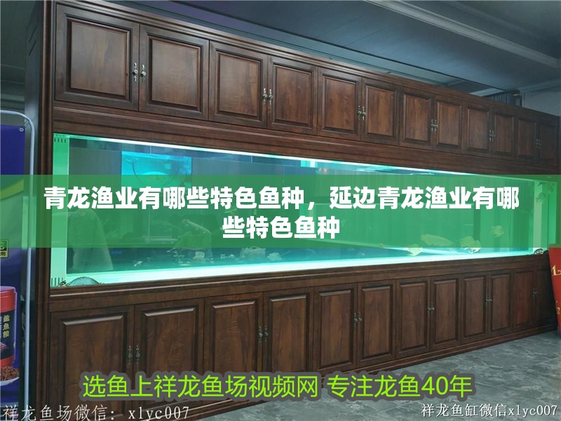 青龍漁業(yè)有哪些特色魚種，延邊青龍漁業(yè)有哪些特色魚種