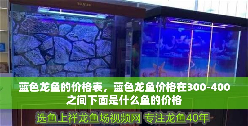 藍色龍魚的價格表，藍色龍魚價格在300-400之間下面是什么魚的價格
