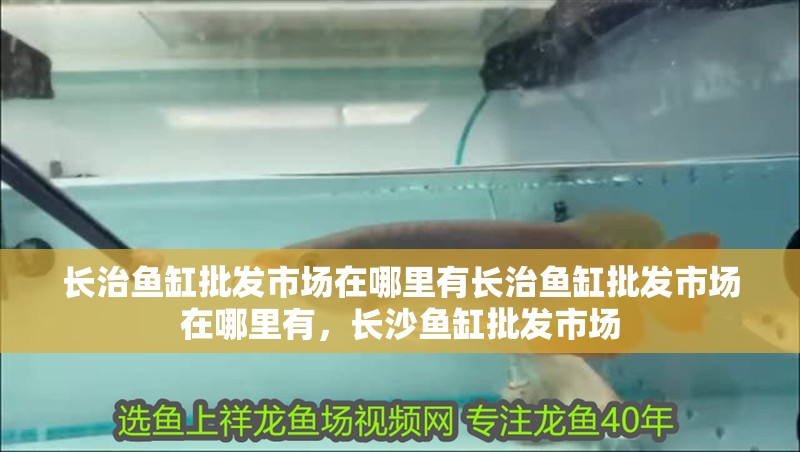 長治魚缸批發市場在哪里有長治魚缸批發市場在哪里有，長沙魚缸批發市場 長治魚缸批發市場在哪里有長治魚缸批發市場在哪里有，長沙魚缸批發市場 觀賞魚百科 第2張