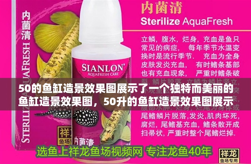 50的魚缸造景效果圖展示了一個獨特而美麗的魚缸造景效果圖，50升的魚缸造景效果圖展示了50的魚缸造景效果圖