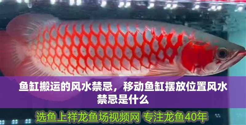 魚缸搬運的風水禁忌，移動魚缸擺放位置風水禁忌是什么