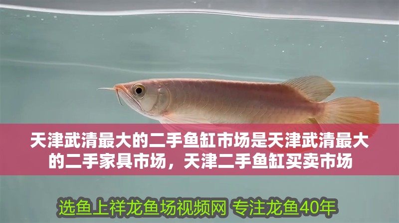 天津武清最大的二手魚缸市場是天津武清最大的二手家具市場，天津二手魚缸買賣市場
