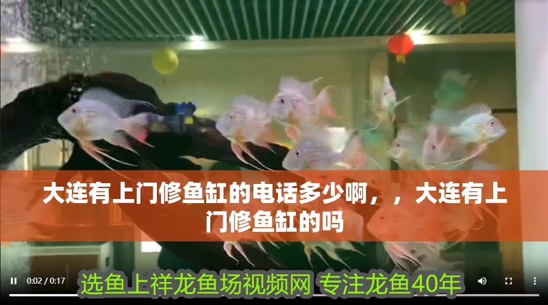 大連有上門修魚缸的電話多少啊，，大連有上門修魚缸的嗎