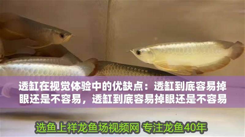 透缸在視覺體驗中的優缺點：透缸到底容易掉眼還是不容易，透缸到底容易掉眼還是不容易