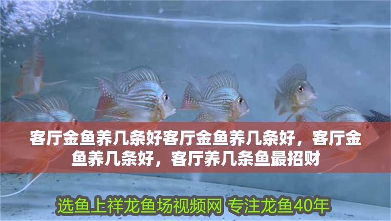 客廳金魚養(yǎng)幾條好客廳金魚養(yǎng)幾條好，客廳金魚養(yǎng)幾條好，客廳養(yǎng)幾條魚最招財
