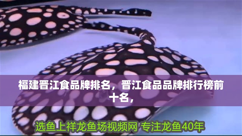 福建晉江食品牌排名，晉江食品品牌排行榜前十名，