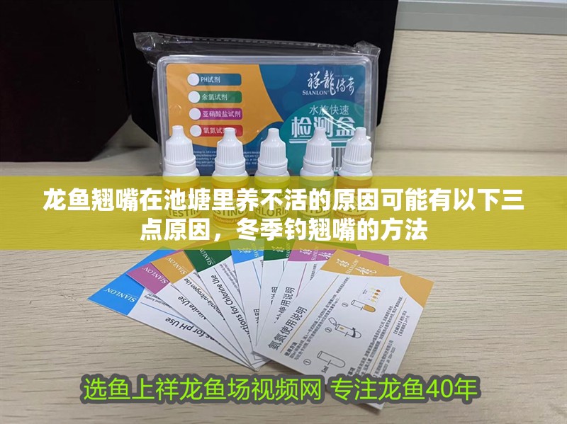 龍魚翹嘴在池塘里養不活的原因可能有以下三點原因，冬季釣翹嘴的方法