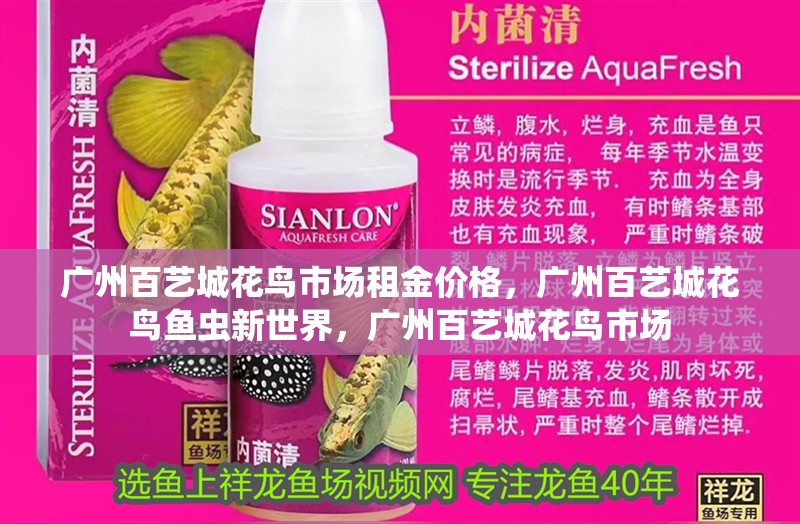 廣州百藝城花鳥市場租金價格，廣州百藝城花鳥魚蟲新世界，廣州百藝城花鳥市場