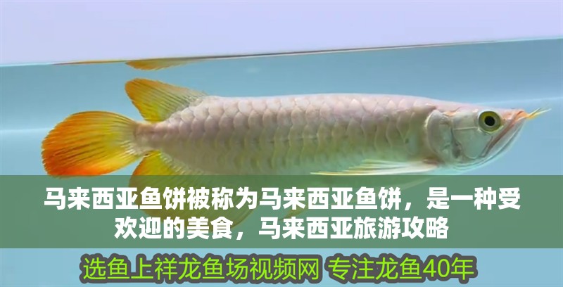 馬來西亞魚餅被稱為馬來西亞魚餅，是一種受歡迎的美食，馬來西亞旅游攻略