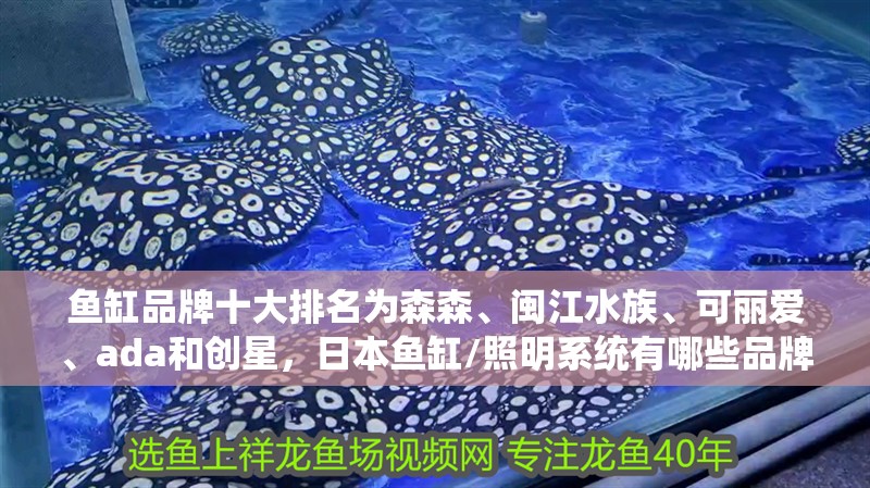 魚缸品牌十大排名為森森、閩江水族、可麗愛、ada和創星，日本魚缸/照明系統有哪些品牌