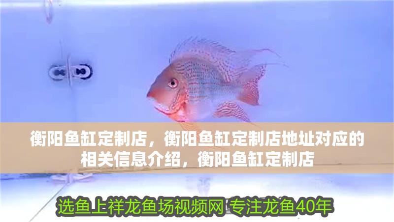 衡陽魚缸定制店，衡陽魚缸定制店地址對應的相關信息介紹，衡陽魚缸定制店 衡陽魚缸定制店，衡陽魚缸定制店地址對應的相關信息介紹，衡陽魚缸定制店 觀賞魚百科 第1張