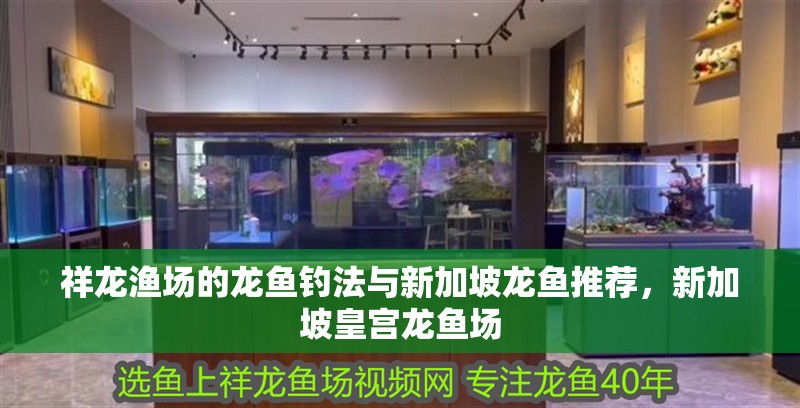 祥龍漁場(chǎng)的龍魚(yú)釣法與新加坡龍魚(yú)推薦，新加坡皇宮龍魚(yú)場(chǎng)