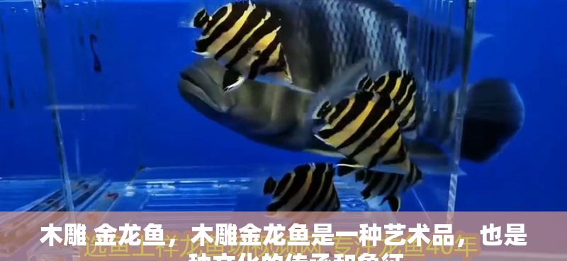 木雕 金龍魚，木雕金龍魚是一種藝術品，也是一種文化的傳承和象征