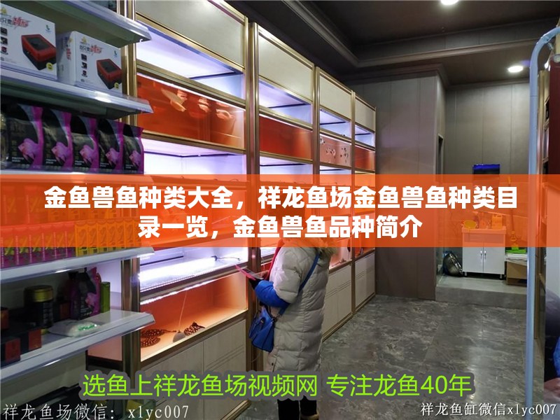 金魚獸魚種類大全，祥龍魚場(chǎng)金魚獸魚種類目錄一覽，金魚獸魚品種簡(jiǎn)介 金魚獸魚種類大全，祥龍魚場(chǎng)金魚獸魚種類目錄一覽，金魚獸魚品種簡(jiǎn)介 觀賞魚百科 第2張
