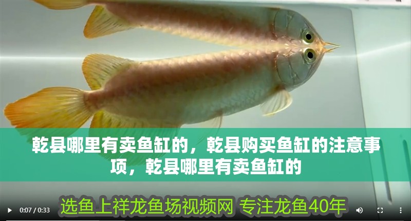 乾縣哪里有賣魚缸的，乾縣購買魚缸的注意事項，乾縣哪里有賣魚缸的