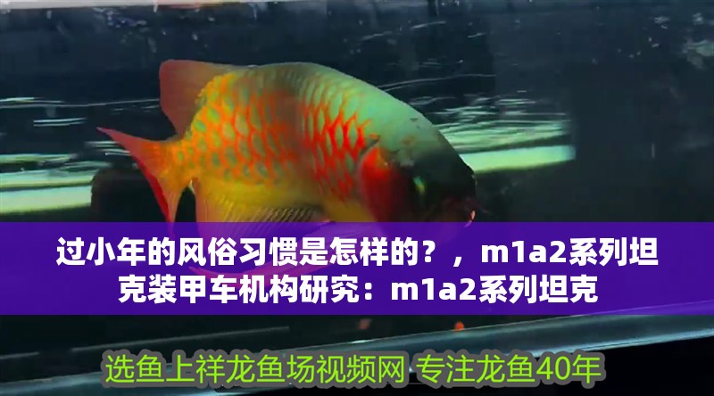 過小年的風俗習慣是怎樣的？，m1a2系列坦克裝甲車機構研究：m1a2系列坦克