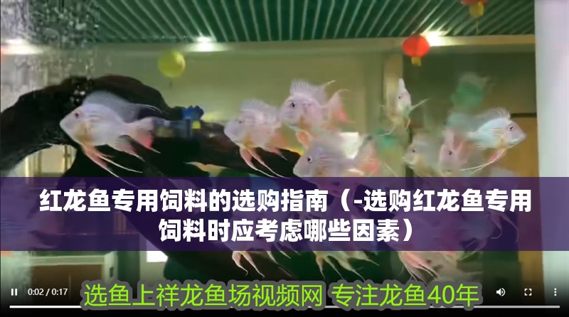 紅龍魚專用飼料的選購指南（-選購紅龍魚專用飼料時應考慮哪些因素） 紅龍魚專用飼料的選購指南（-選購紅龍魚專用飼料時應考慮哪些因素） 觀賞魚百科 第2張