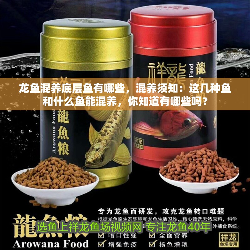 龍魚混養底層魚有哪些，混養須知：這幾種魚和什么魚能混養，你知道有哪些嗎？