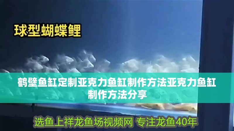 鶴壁魚缸定制亞克力魚缸制作方法亞克力魚缸制作方法分享 觀賞魚百科 第1張 鶴壁魚缸定制亞克力魚缸制作方法亞克力魚缸制作方法分享 鶴壁魚缸定制亞克力魚缸制作方法亞克力魚缸制作方法分享 觀賞魚百科 第1張