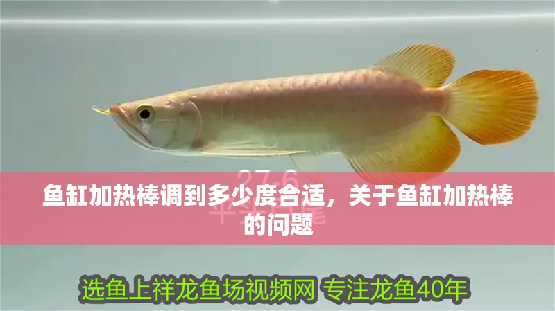 魚缸加熱棒調(diào)到多少度合適，關(guān)于魚缸加熱棒的問題