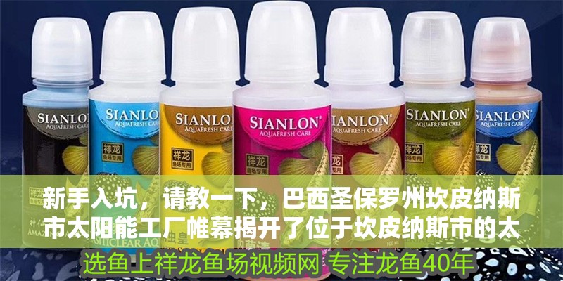 新手入坑，請教一下，巴西圣保羅州坎皮納斯市太陽能工廠帷幕揭開了位于坎皮納斯市的太陽能工廠帷幕