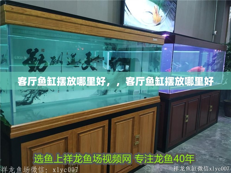 客廳魚缸擺放哪里好，，客廳魚缸擺放哪里好