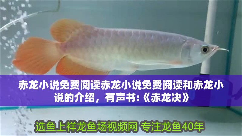 赤龍小說免費(fèi)閱讀赤龍小說免費(fèi)閱讀和赤龍小說的介紹，有聲書:《赤龍決》