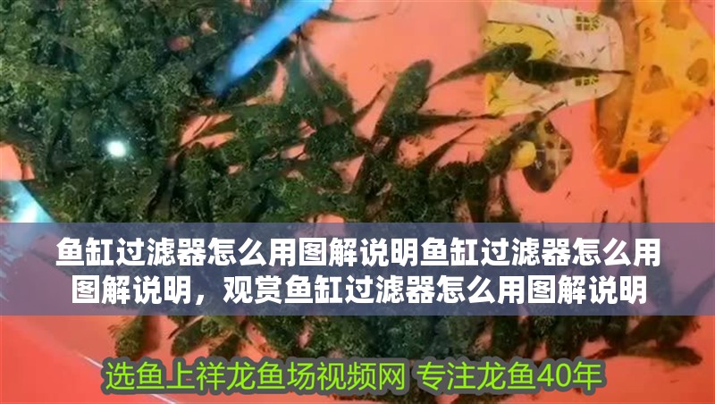 魚缸過濾器怎么用圖解說明魚缸過濾器怎么用圖解說明，觀賞魚缸過濾器怎么用圖解說明