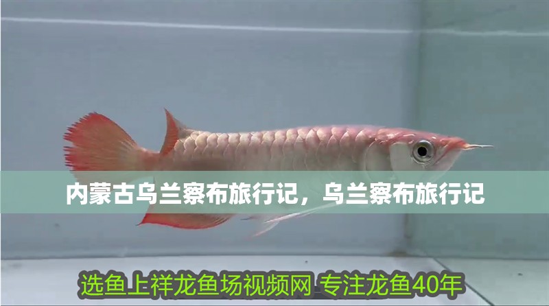 內蒙古烏蘭察布旅行記，烏蘭察布旅行記