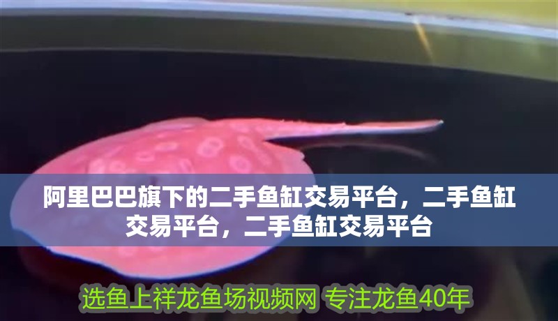 阿里巴巴旗下的二手魚缸交易平臺，二手魚缸交易平臺，二手魚缸交易平臺