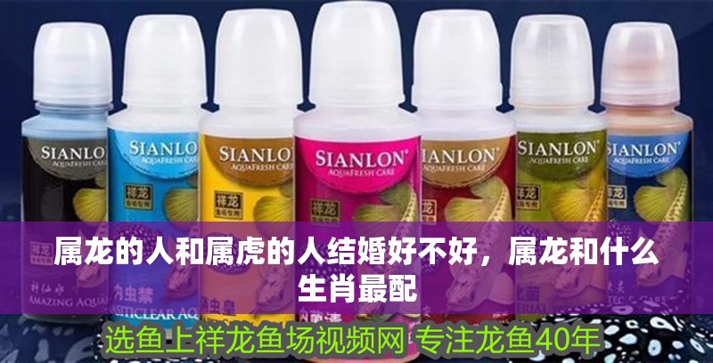 屬龍的人和屬虎的人結婚好不好，屬龍和什么生肖最配