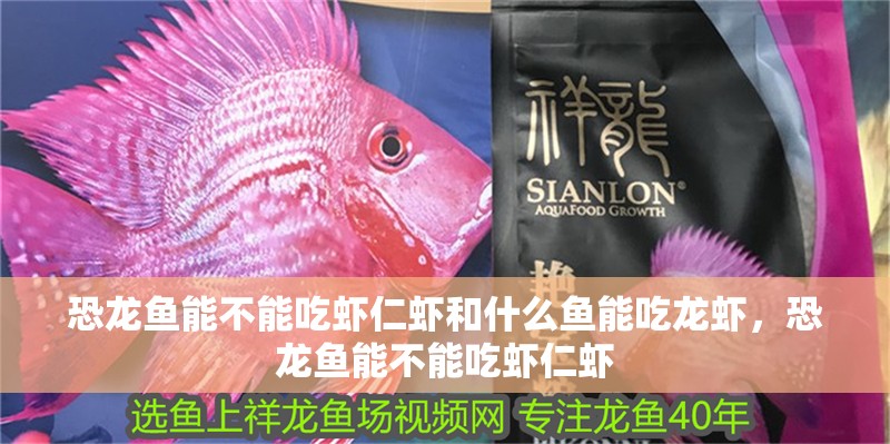 恐龍魚能不能吃蝦仁蝦和什么魚能吃龍蝦，恐龍魚能不能吃蝦仁蝦 恐龍魚能不能吃蝦仁蝦和什么魚能吃龍蝦，恐龍魚能不能吃蝦仁蝦 觀賞魚百科 第1張