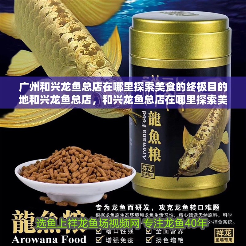廣州和興龍魚總店在哪里探索美食的終極目的地和興龍魚總店，和興龍魚總店在哪里探索美食的終極目的地和興龍魚總店