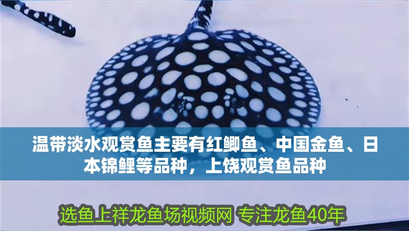 溫帶淡水觀賞魚(yú)主要有紅鯽魚(yú)、中國(guó)金魚(yú)、日本錦鯉等品種，上饒觀賞魚(yú)品種