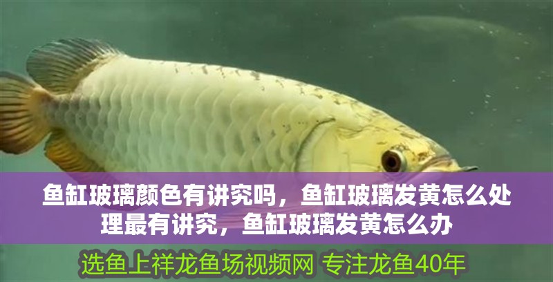 魚缸玻璃顏色有講究嗎，魚缸玻璃發黃怎么處理最有講究，魚缸玻璃發黃怎么辦 魚缸玻璃顏色有講究嗎，魚缸玻璃發黃怎么處理最有講究，魚缸玻璃發黃怎么辦 觀賞魚百科 第2張