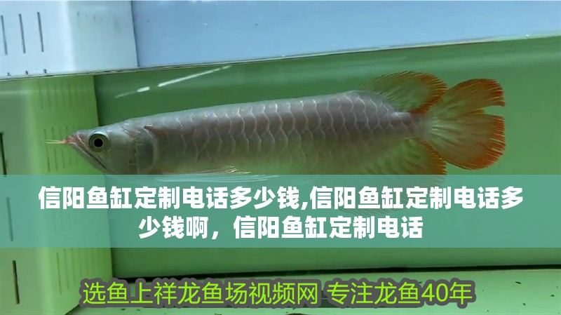 信陽魚缸定制電話多少錢,信陽魚缸定制電話多少錢啊，信陽魚缸定制電話