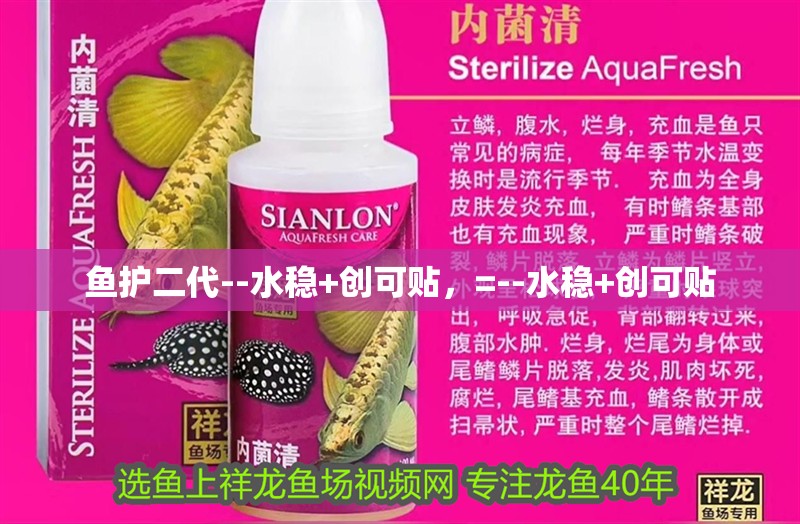 魚護二代--水穩+創可貼，=--水穩+創可貼 魚護二代--水穩+創可貼，=--水穩+創可貼 觀賞魚百科