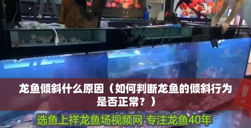 龍魚傾斜什么原因（如何判斷龍魚的傾斜行為是否正常？）