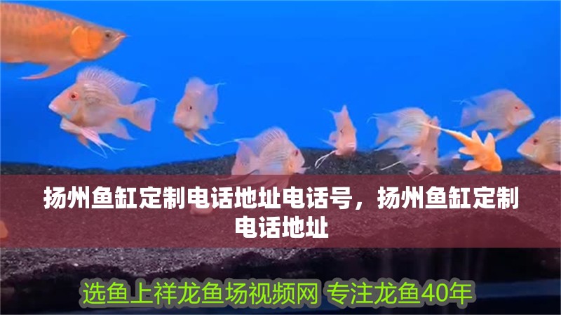 揚州魚缸定制電話地址電話號，揚州魚缸定制電話地址 揚州魚缸定制電話地址電話號，揚州魚缸定制電話地址 觀賞魚百科