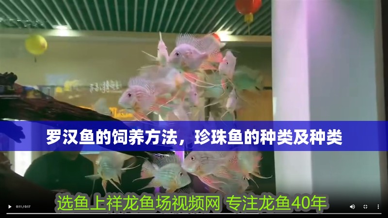 羅漢魚的飼養(yǎng)方法，珍珠魚的種類及種類