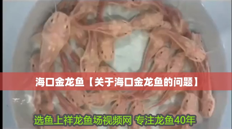 <strong><mark>海口</mark></strong>金龍魚(yú)【關(guān)于<strong><mark>海口</mark></strong>金龍魚(yú)的問(wèn)題】