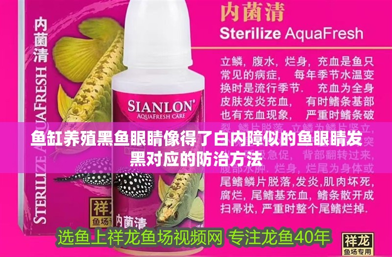 魚缸養(yǎng)殖黑魚眼睛像得了白內(nèi)障似的魚眼睛發(fā)黑對(duì)應(yīng)的防治方法