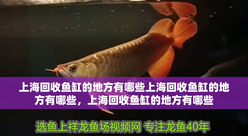 上海回收魚缸的地方有哪些上海回收魚缸的地方有哪些，上海回收魚缸的地方有哪些