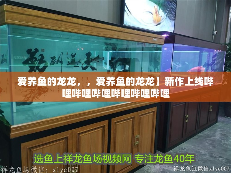 愛養魚的龍龍，，愛養魚的龍龍】新作上線嗶哩嗶哩嗶哩嗶哩嗶哩嗶哩