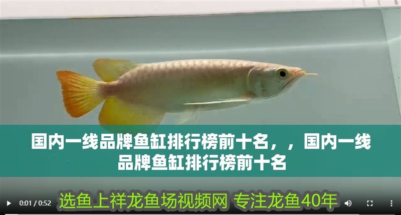 國內一線品牌魚缸排行榜前十名，，國內一線品牌魚缸排行榜前十名