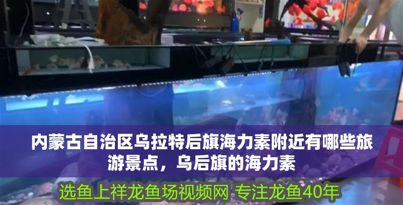 內蒙古自治區烏拉特后旗海力素附近有哪些旅游景點，烏后旗的海力素