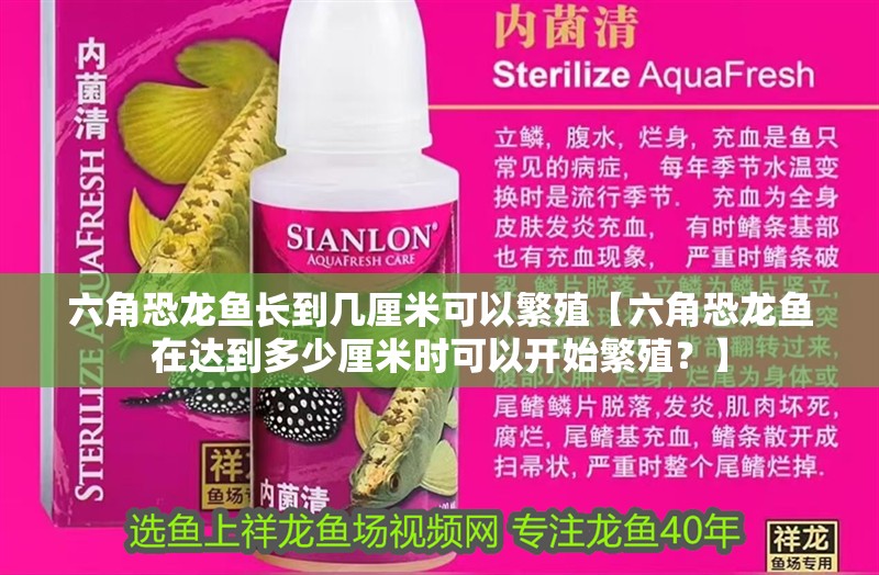 六角恐龍魚(yú)長(zhǎng)到幾厘米可以繁殖【六角恐龍魚(yú)在達(dá)到多少厘米時(shí)可以開(kāi)始繁殖？】