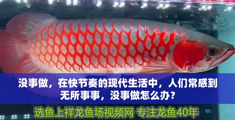 沒事做，在快節(jié)奏的現(xiàn)代生活中，人們常感到無所事事，沒事做怎么辦？