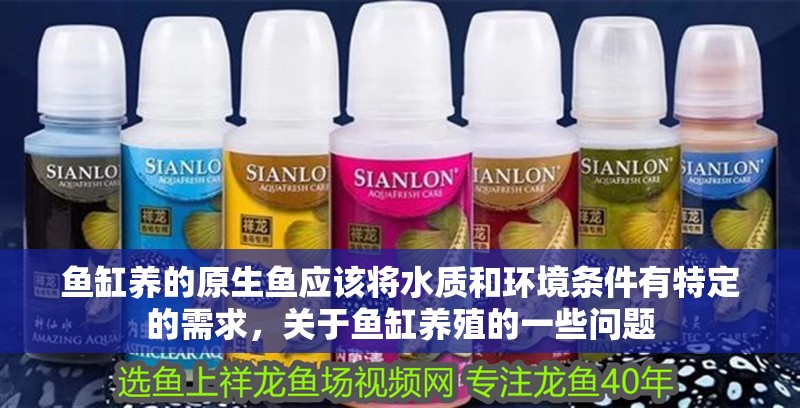 魚缸養的原生魚應該將水質和環境條件有特定的需求，關于魚缸養殖的一些問題